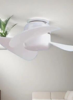 5.1-Inch E27 Screw-in Ceiling Fan – 5W Mini Quiet Cooling F