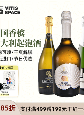 食葡意大利进口贝壳白中白起泡葡萄酒普罗塞克/法国香槟节日氛围