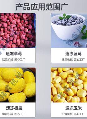 连续式流青态豆化速冻机 玉米粒毛仁青豌豆刀豆莓芒草果冻934结设