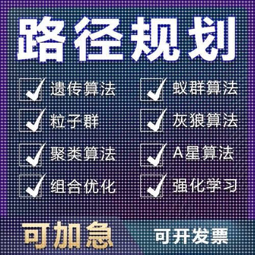 matlab路径规划遗传蚁群粒子群算法代编Python强化学习多目标优化