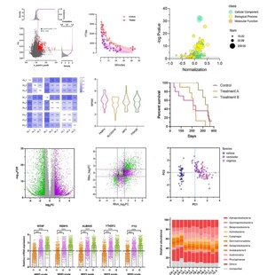Rstudio绘图SCI科研生信医学桑基热图数据分析作图教程 R语言代码