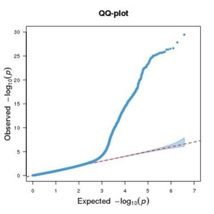 植物生物信息GWAS分析2D3D绘图 生物信息 单倍型分析构建进化树
