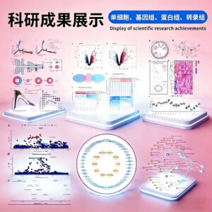 网络药理学 分子对接 网络毒理学 药物靶点筛选 网络药理学分析