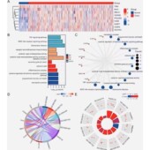 微生物组16s扩增子宏基因组生信分析 qiime2物种丰度多样性lefse