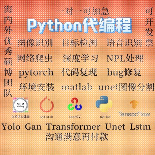 python代编程深度学习机器图像视觉接单代跑模型代码调试编写程序
