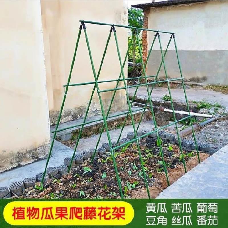 种植架种菜架种豆角黄瓜丝瓜架子蔬菜架花支架固定攀爬搭棚架户外 鲜花速递/花卉仿真/绿植园艺 其它园艺用品 原图主图