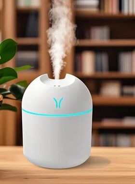 1pc Compact Portable Humidifier for Fine Moisture – Profess