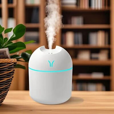 1pc Compact Portable Humidifier for Fine Moisture – Profess