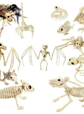 Halloween Decoration Animal Skeleton Hallowmas House Party O