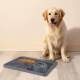 Cup Eater Licking New Food Pad Slow Suction Dog Placemat