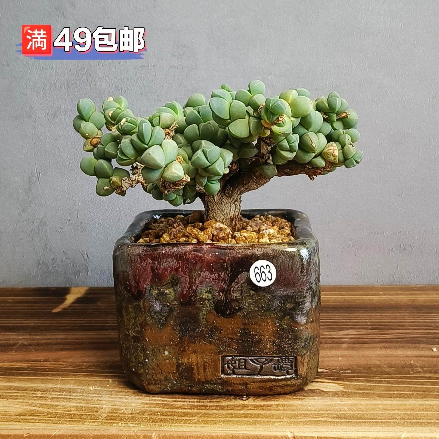 景德镇手工多肉花盆坛子姐手捏方盆复古粗陶陶土花盆肉锥仙人球,家居饰品,花盆,淘宝优惠券,粉丝福利购,淘宝优惠卷