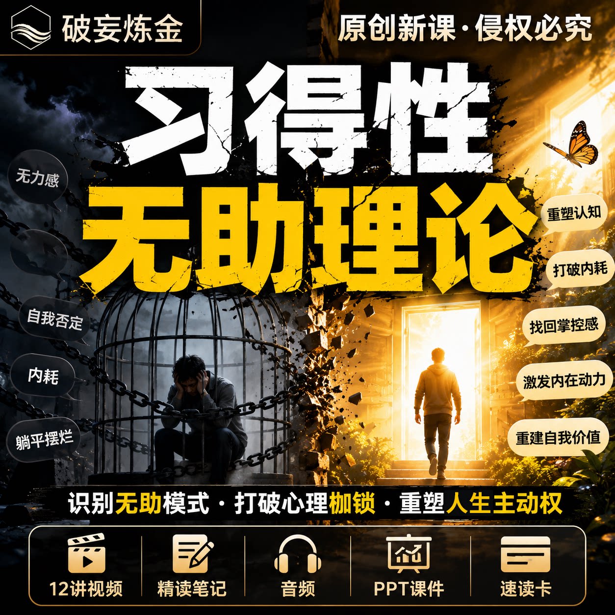 习得性无助理论课程情绪觉察行动力提升心理学视频笔记资料
