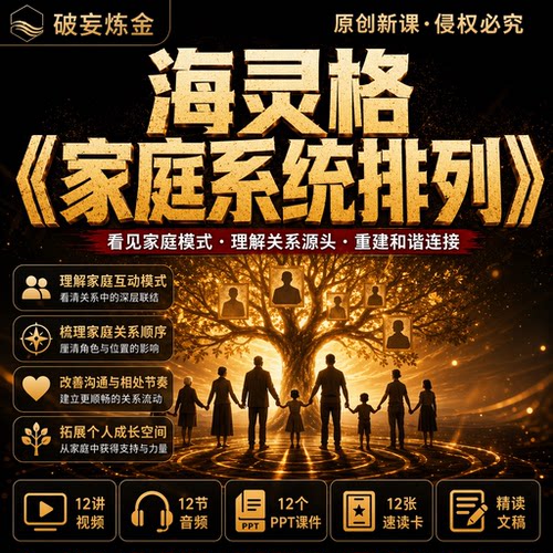海灵格家庭排列心理学课程原生家庭亲子沟通视频笔记PPT资料