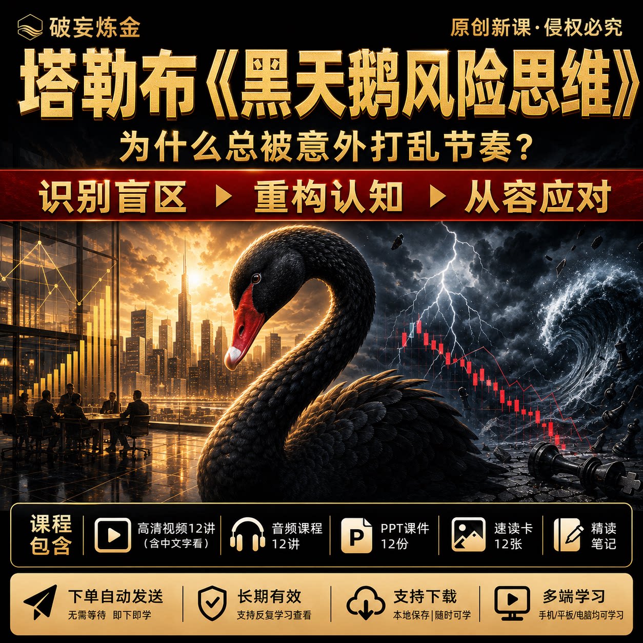 塔勒布黑天鹅风险思维课程不确定性风险识别决策思维视频笔记资料