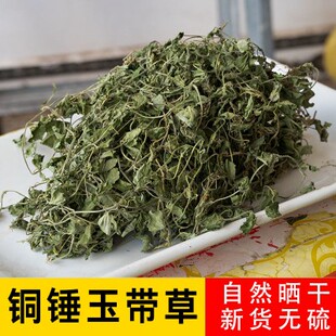 贵州铜锤玉带草扣子草地茄子草地浮萍马连草翳子草野生干货包邮