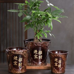 古典陶瓷花盆古典创意客厅桌面仿树金钱树发财树招财进宝送托盘