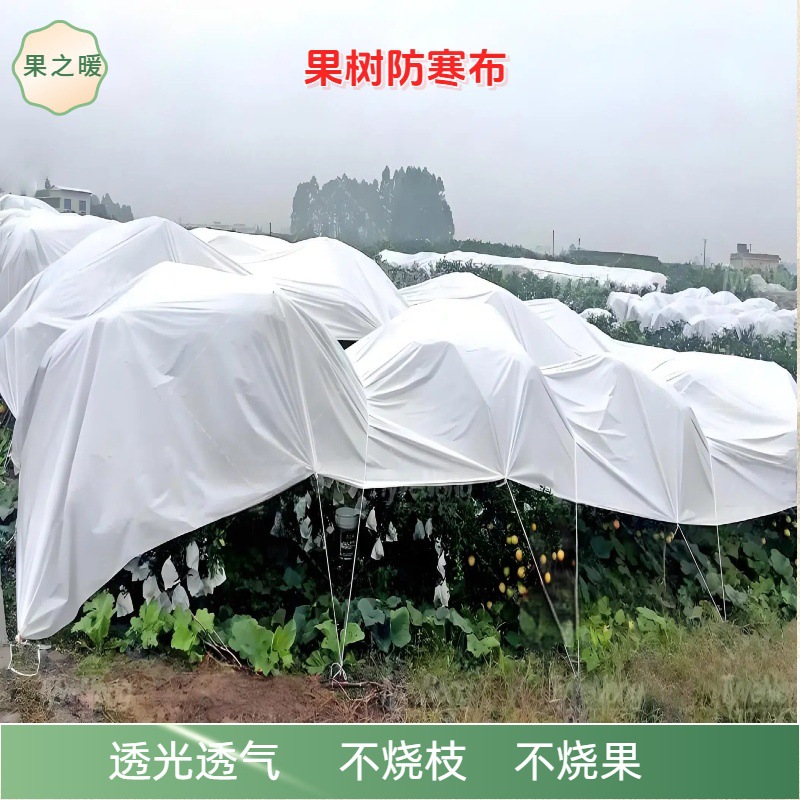 果树农用果园防裂果护布