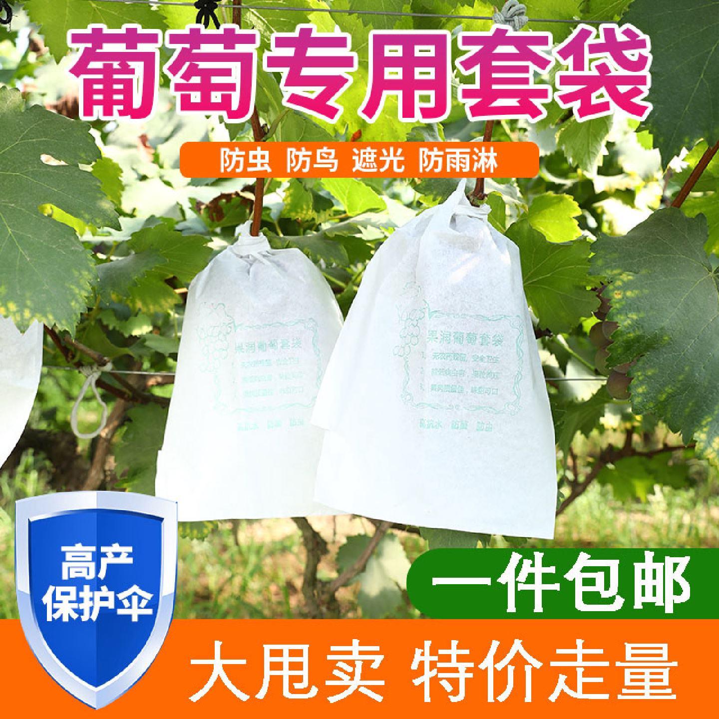 葡萄保护套袋专用袋防虫鸟葡萄套育袋葡纸袋果袋袋子防水萄专用的