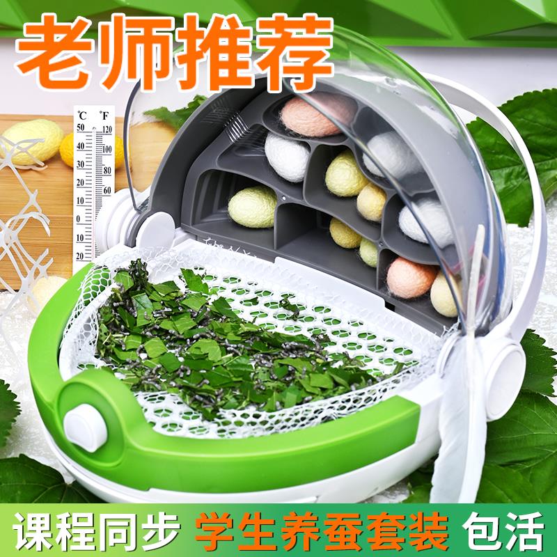 春季蚕宝宝学生养蚕专用套装活籽卵观察饲养盲盒玩具太空舱桑叶