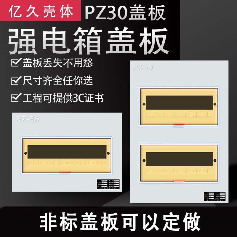 PZ30配电箱盖板面板铁明暗装箱盖子10/12/15/18/20回路单双排三排