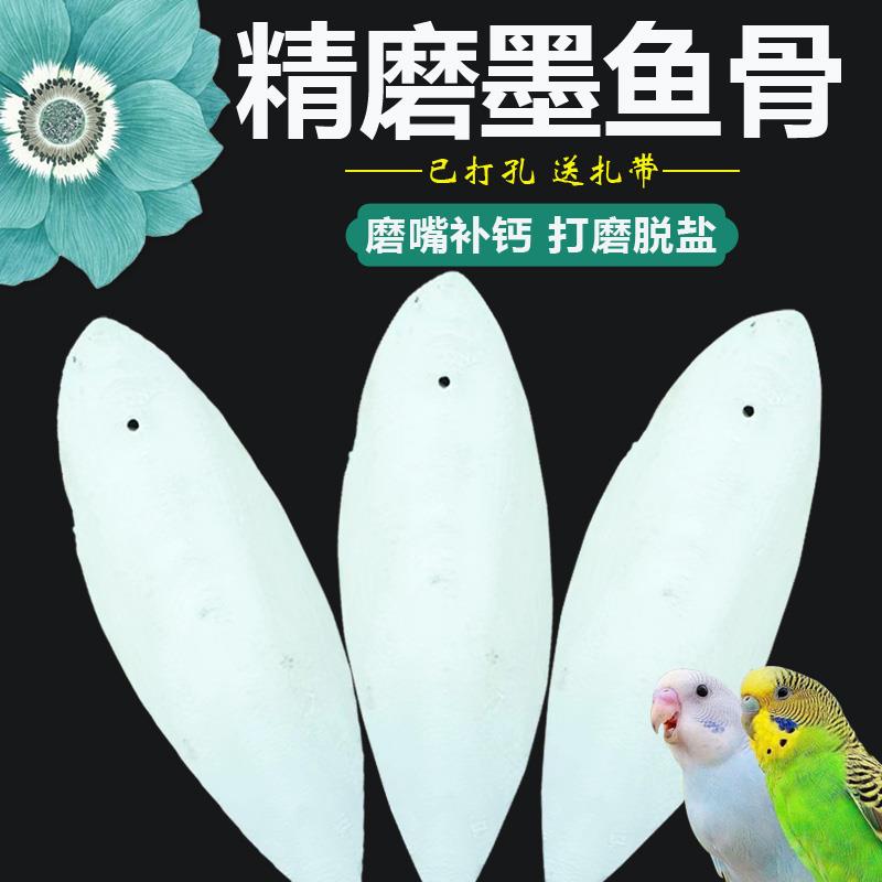 鹦鹉墨鱼骨补钙磨牙虎皮玄凤牡丹鸟食零食龟磨嘴吊串啃咬玩具用