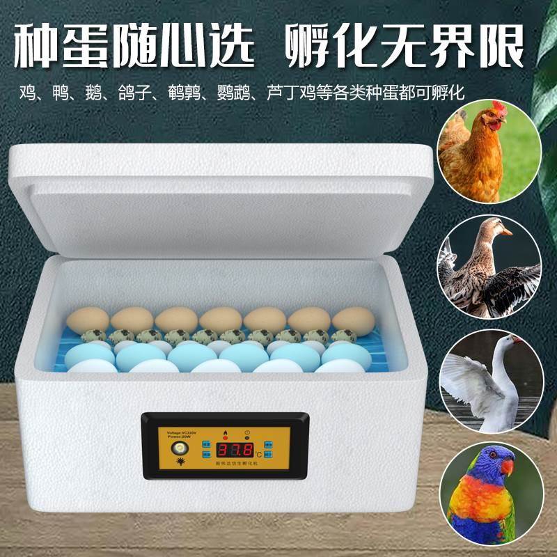 箱神器器家主机壳鸡箱鸡蛋孵化机器家用小鸡浮化温控箱子小型化
