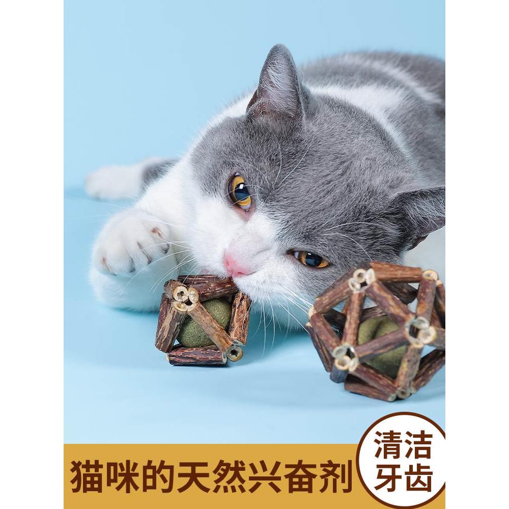 猫猫玩具磨牙棒木薄天蓼荷玲珑球逗猫棒耐咬自嗨解闷猫咪用品