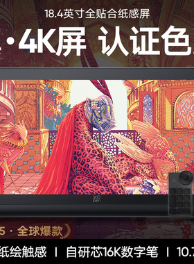 XPPen数位屏ArtistPro19(4K)手绘屏电脑绘画屏AP19数绘屏数位板