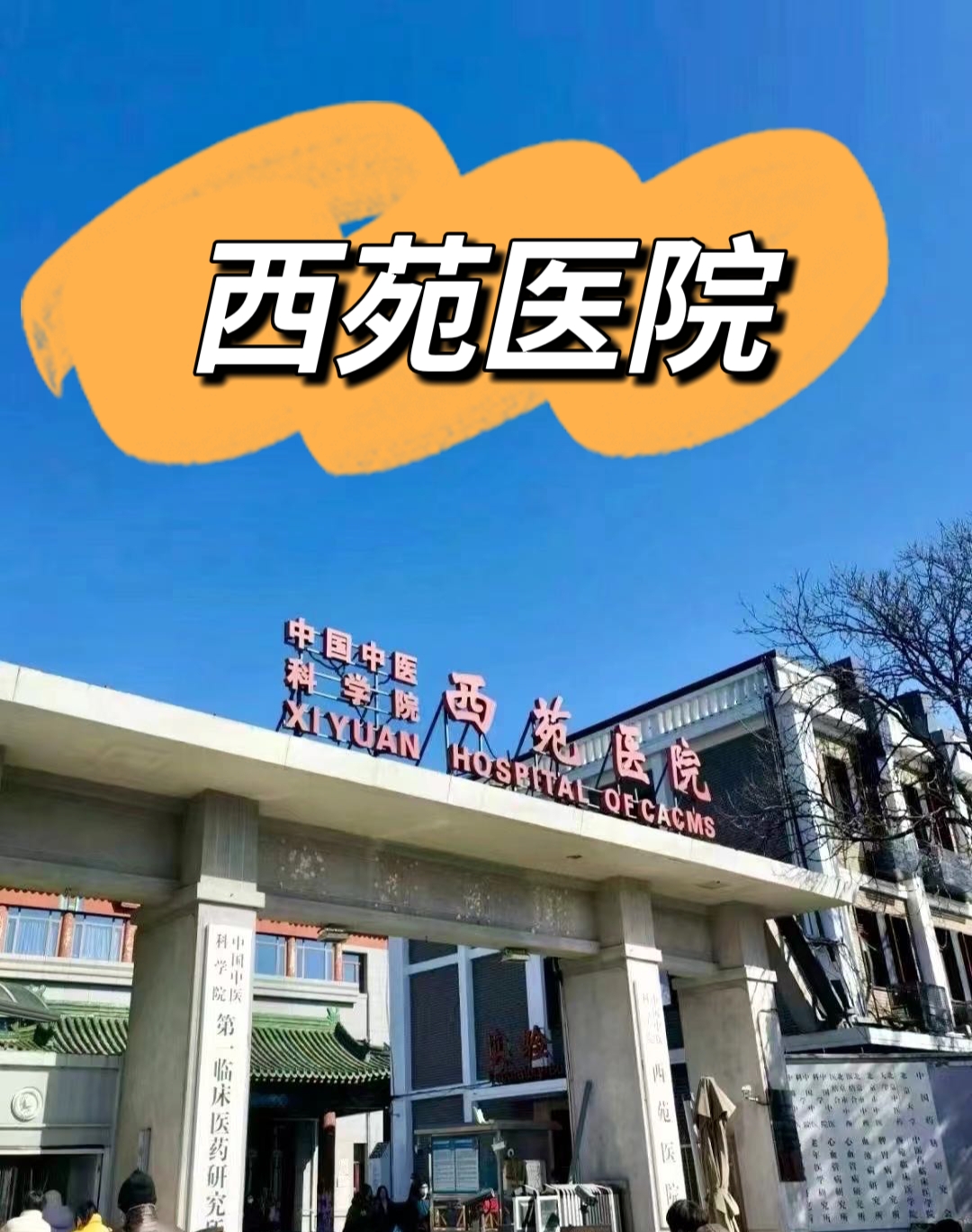 中国中医科学院西苑医院，北京西苑医院陪诊跑腿
