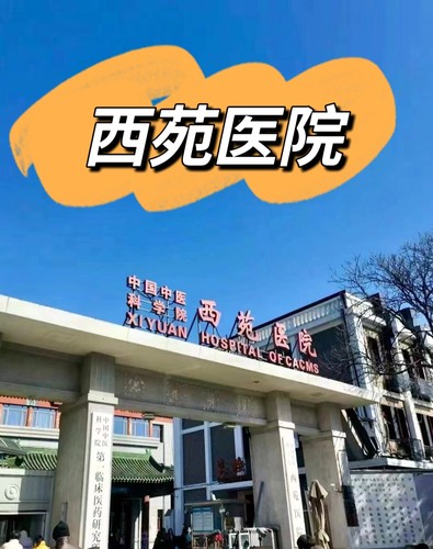 中国中医科学院西苑医院，北京西苑医院陪诊酸跑腿 正品保证