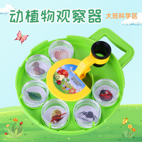 动植物标本观察幼儿园科学区