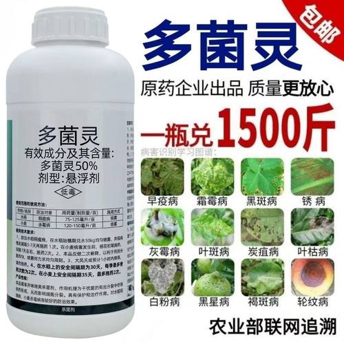 多菌灵杀菌剂白粉病炭疽病霜霉病黑斑病果树蔬菜花卉月季植物农药