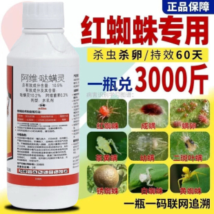 红蜘蛛专用药杀虫剂杀卵阿维哒螨灵阿维菌素果树植物花卉月季 农药