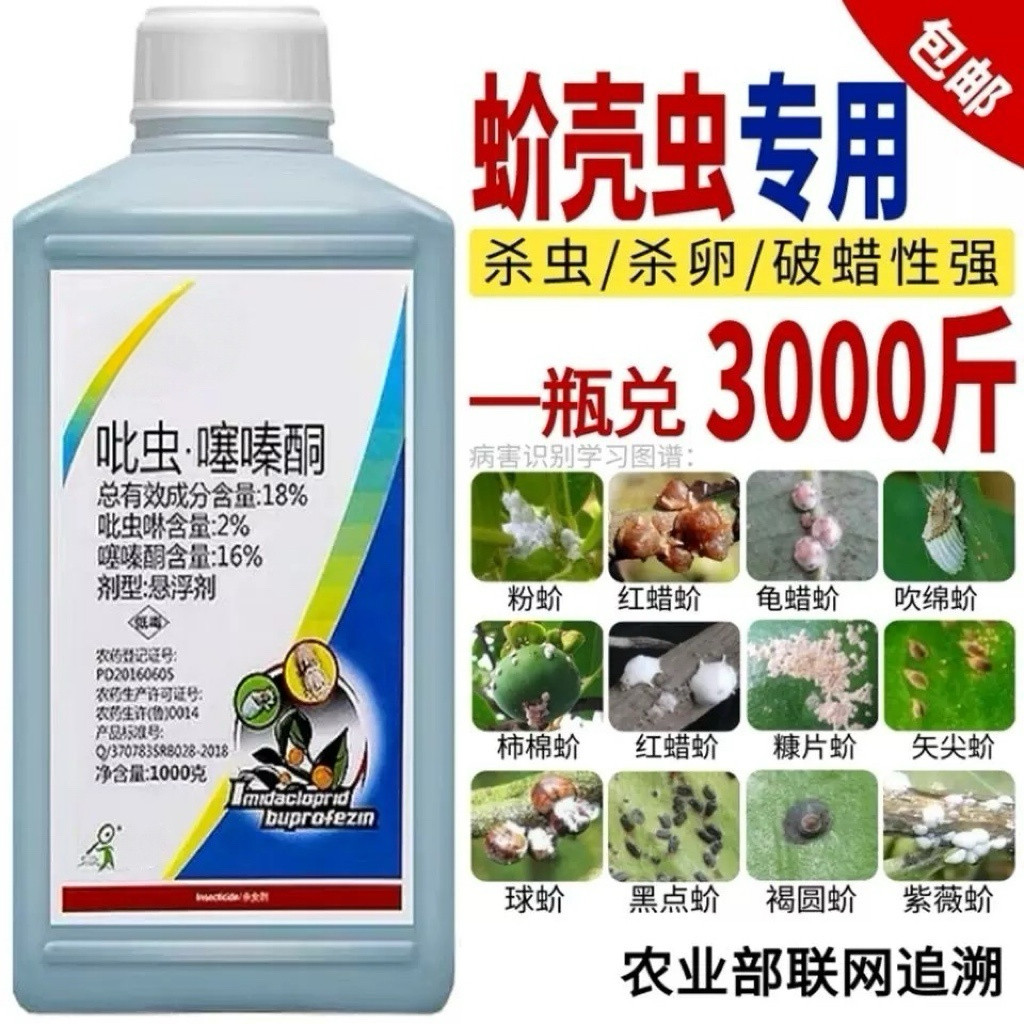 蚧壳虫专用药杀虫剂介壳虫吡虫啉噻嗪酮果树柑橘多肉花卉月季农药