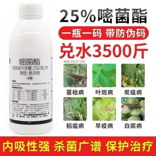 25%嘧菌酯叶斑病炭疽病白粉病锈病霜霉病稻瘟病果树蔬菜花杀菌剂
