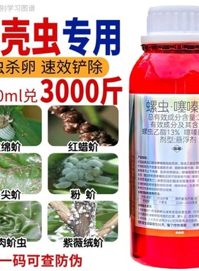 蚧壳虫专用药杀虫剂螺虫乙酯噻嗪酮柑橘果树花卉蚧必治介壳虫农药