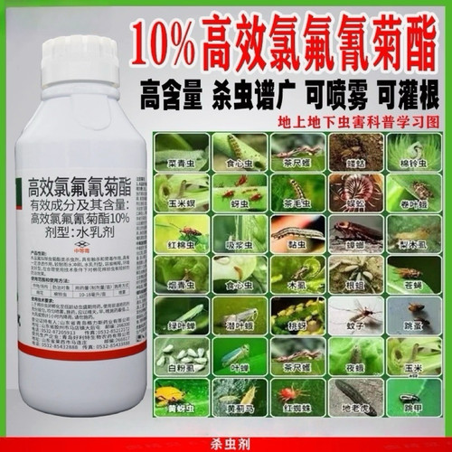 10高效氯氟氰菊酯农药杀虫剂果树蔬菜蚜虫钻心虫菜青虫地下杀虫药
