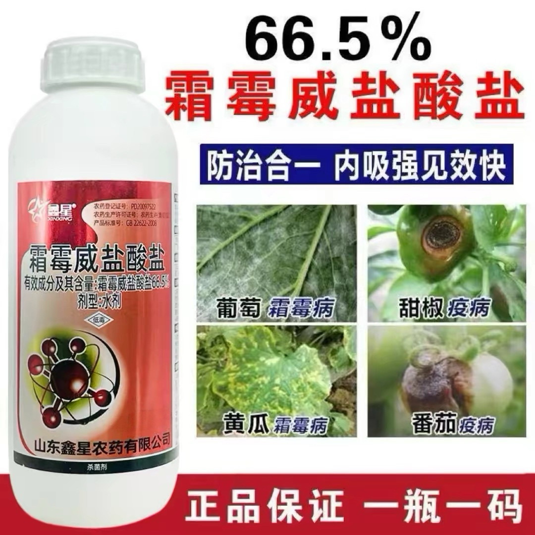 霜霉威盐酸盐霜霉病杀菌剂早晚疫病黄瓜葡萄菠菜番茄蔬菜农药批发