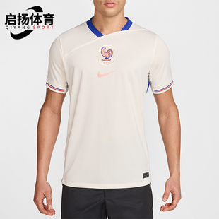 Nike/耐克正品 Dri-FIT男士图案足球训练经典运动短袖FZ9023-110
