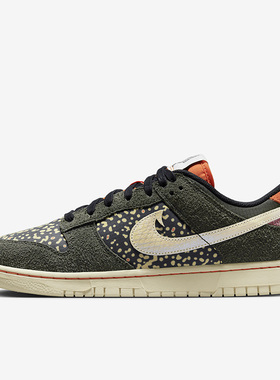 Nike/耐克正品Dunk Low男女缓震回弹耐磨运动休闲板鞋FN7523-300