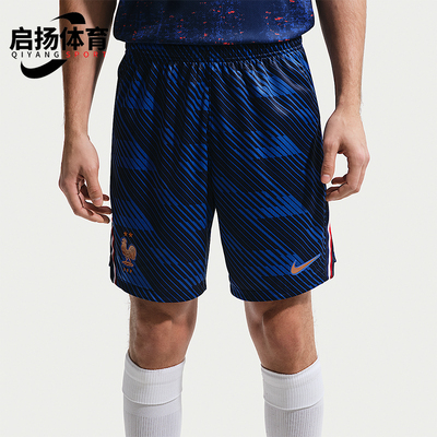 Nike/耐克正品Dri-FIT男士训练印花宽松运动吸湿短裤IB4847-480