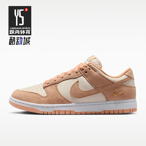 Nike/耐克正品2026年女士休闲时尚低帮运动板鞋IO4244-800