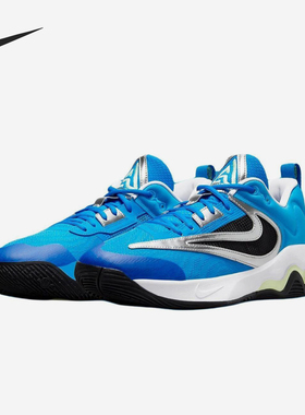Nike/耐克正品运动男士网面透气防滑耐磨经典篮球鞋DZ7533-400