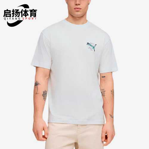 Puma/彪马正品夏季男士运动休闲圆领简约经典短袖T恤638767-02