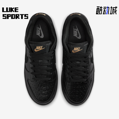 Nike/耐克正品2025秋季款女士日常运动耐磨低帮板鞋HV4388-001