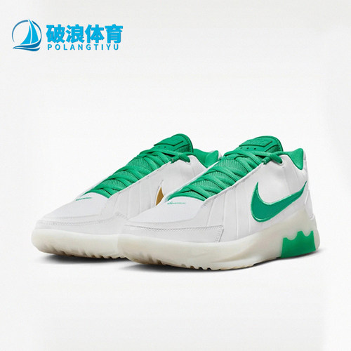 Nike/耐克正品LEBRON WITNESS IX EP男士经典篮球鞋HQ8035-101