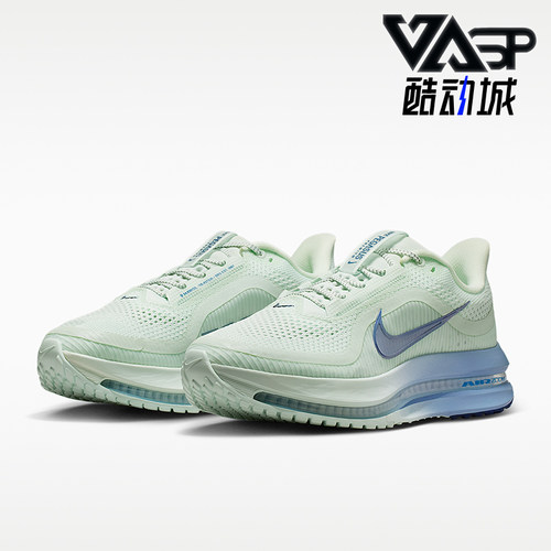 Nike/耐克正品PEGASUS PREMIUM女士缓震专业经典跑步鞋HQ2593-301