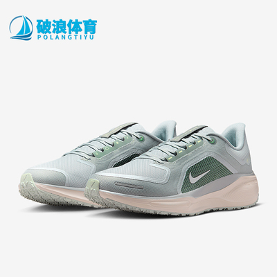Nike/耐克正品Pegasus 41男士训练运动减震耐磨跑步鞋FQ1356-007