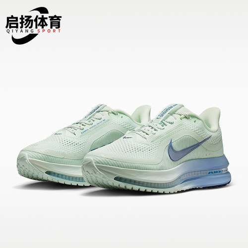 Nike/耐克正品PEGASUS PREMIUM女士缓震专业经典跑步鞋HQ2593-301