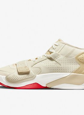 Nike/耐克正品JORDAN ZION 2 PF男士耐磨篮球鞋DO8991-217